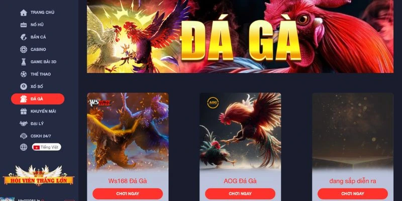 Đá gà với những trận đấu nảy lửa khó quên 