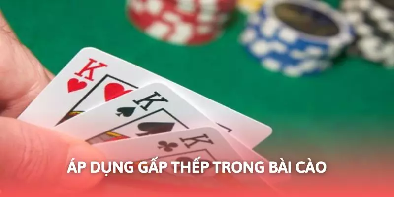 Áp dụng gấp thếp giúp tăng lợi nhuận nhận về