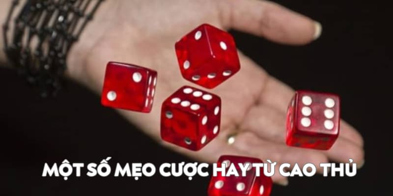 Mẹo cược hay từ cao thủ